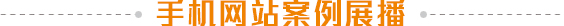 手机网站，让访客在移动端搜索时更快找到我们